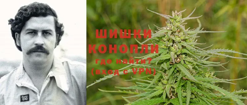 Бошки Шишки Ganja  Краснозаводск 